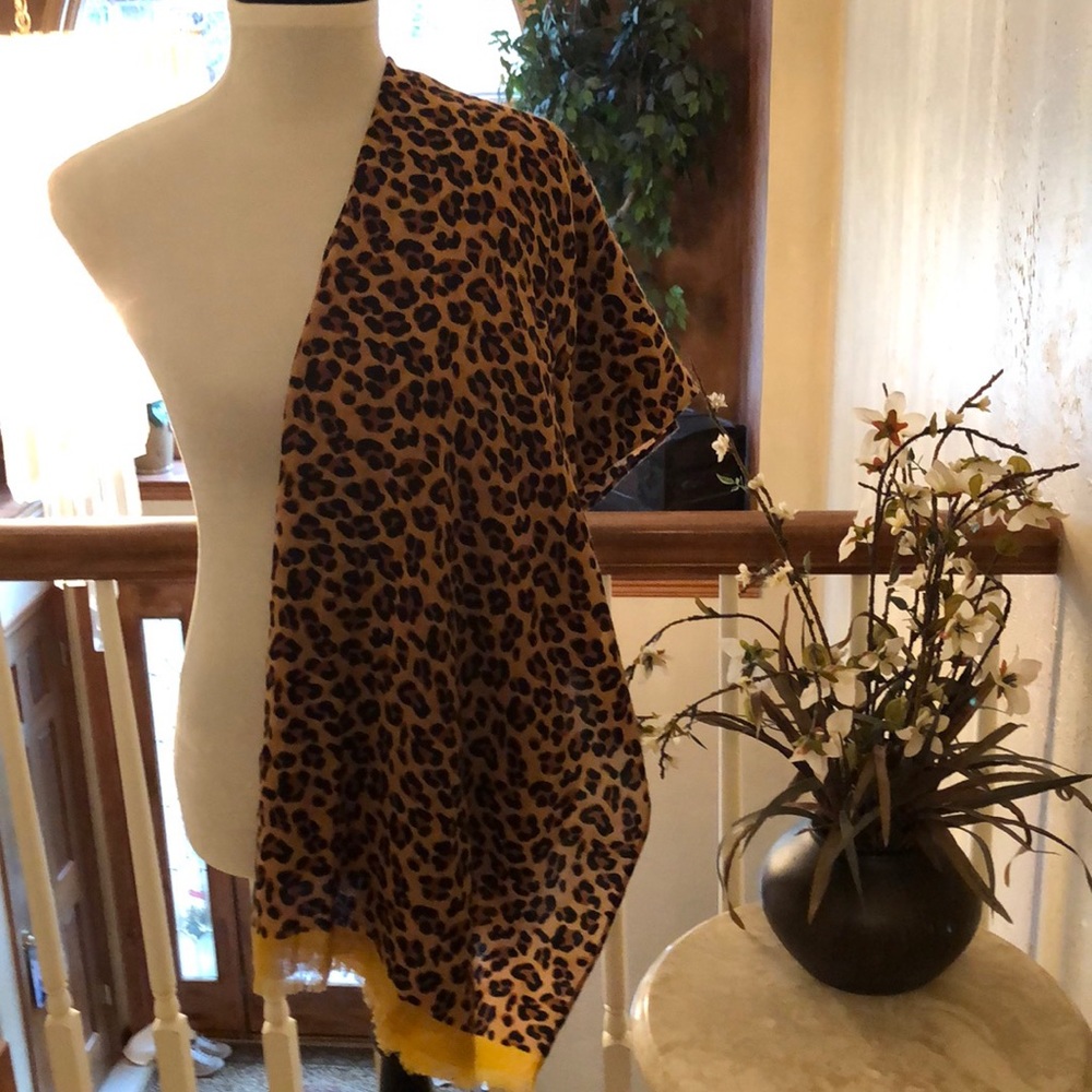 Pashmina - Picture 3 of 5